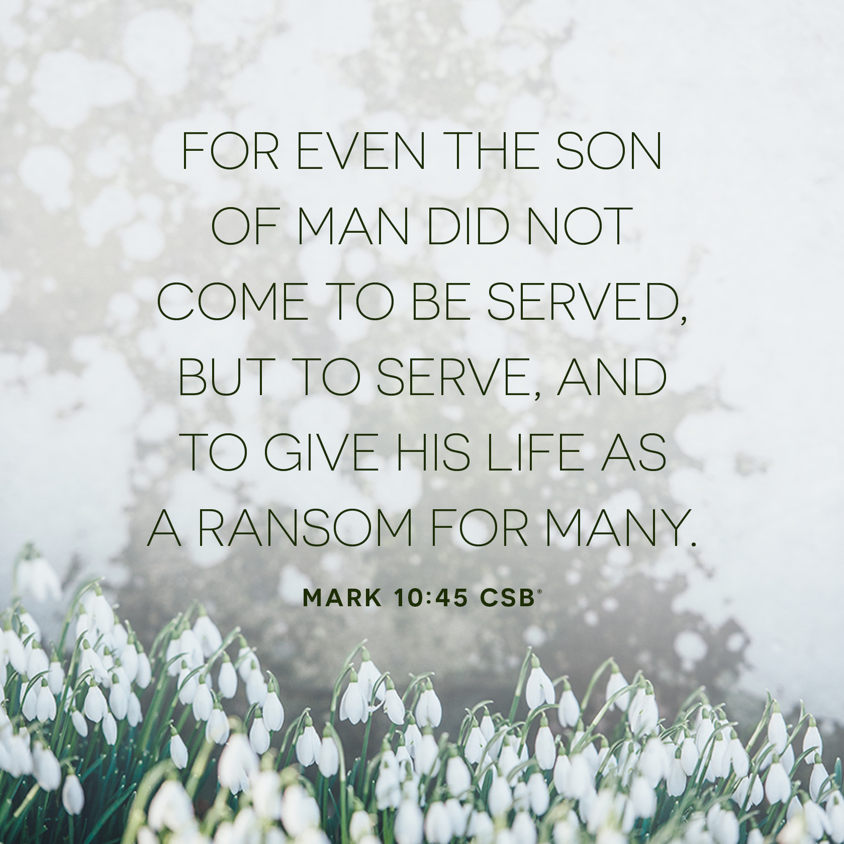 Easter Devotional Week 1 Jesus Humility And Service Easter Devotional Week 1 Jesus Humility And Service